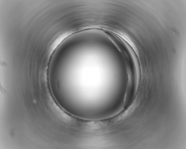 X0000091310906200708101501