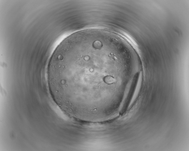 X0000091310907200708101501