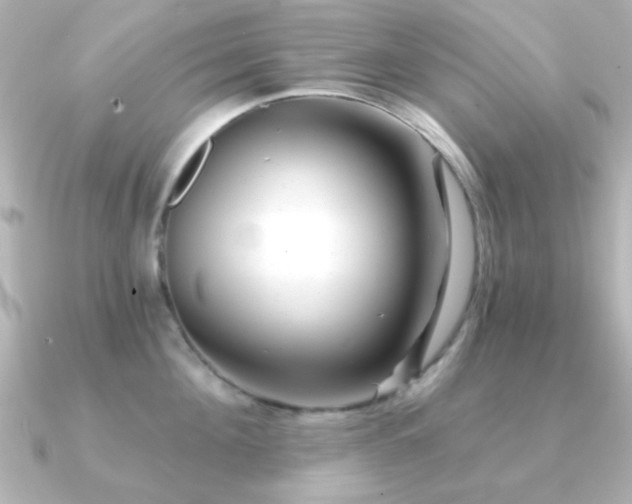 X0000091310908200708101501