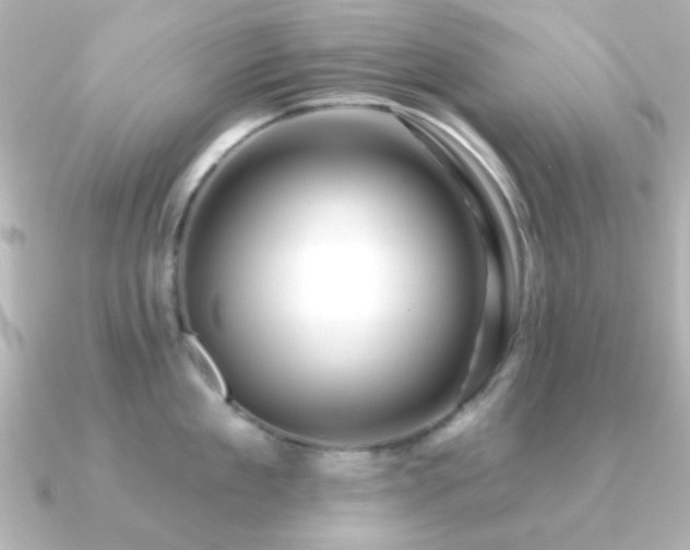 X0000091310909200708101501