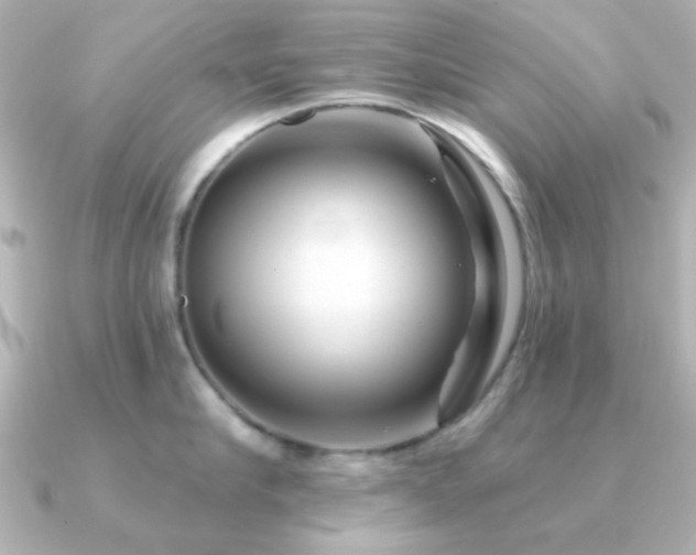 X0000091310910200708101501