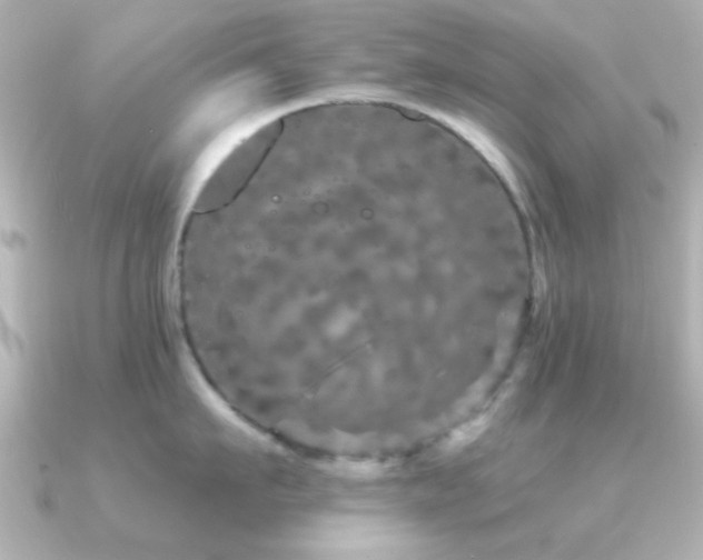 X0000091310911200708101501