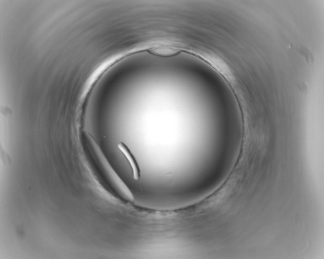 X0000091310912200708101501