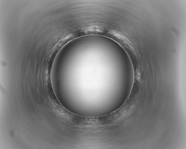 X0000091310915200708101500