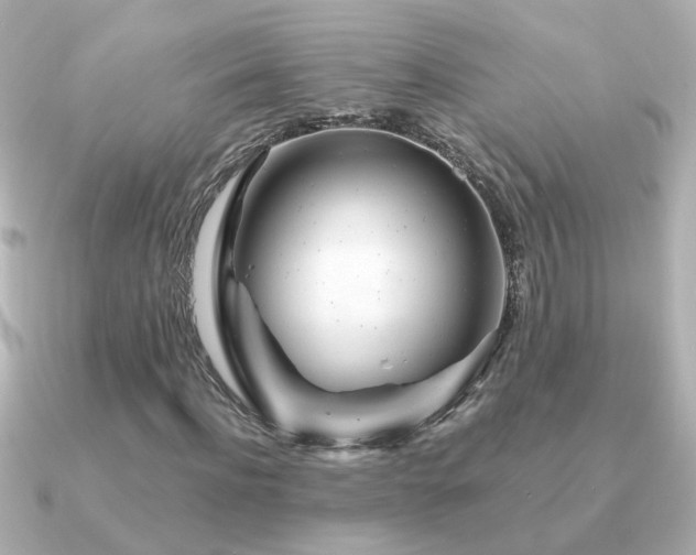 X0000091310916200708101500