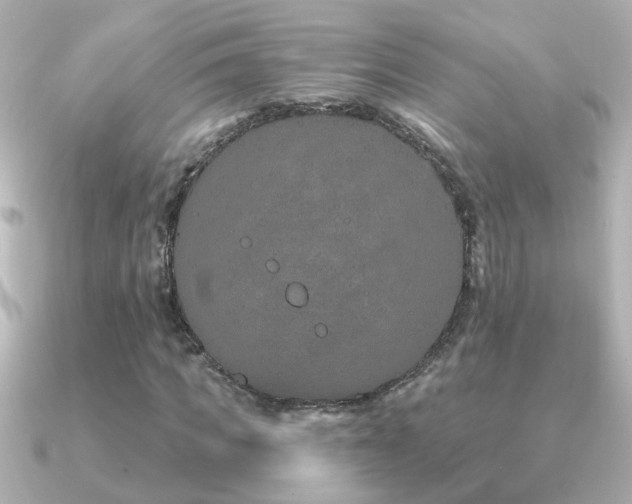 X0000091310917200708101500