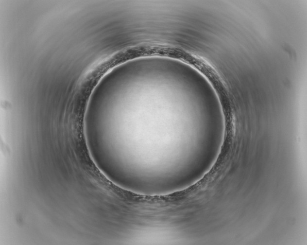 X0000091310919200708101500