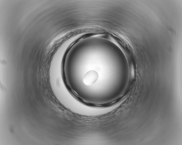 X0000091310920200708101500