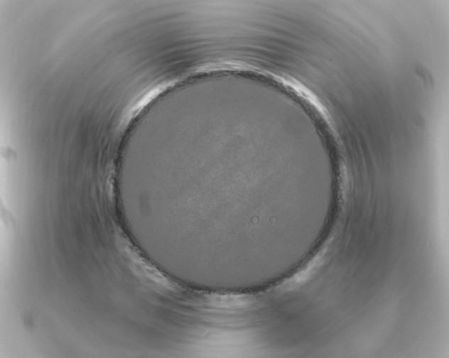 X0000091310921200708101500