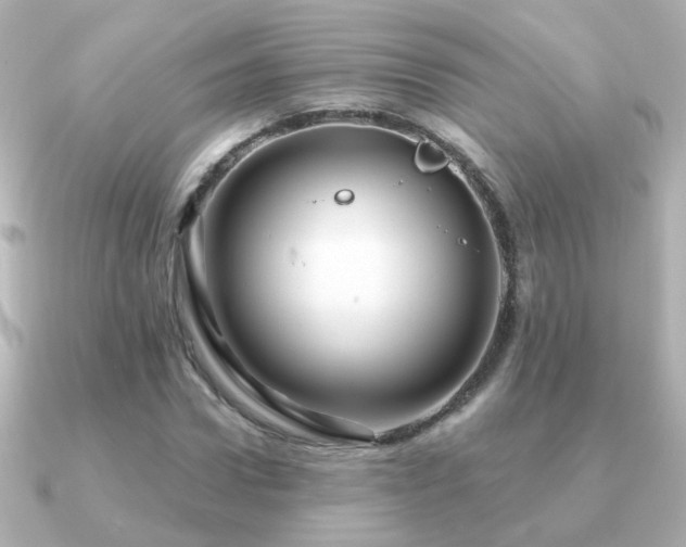 X0000091310922200708101501