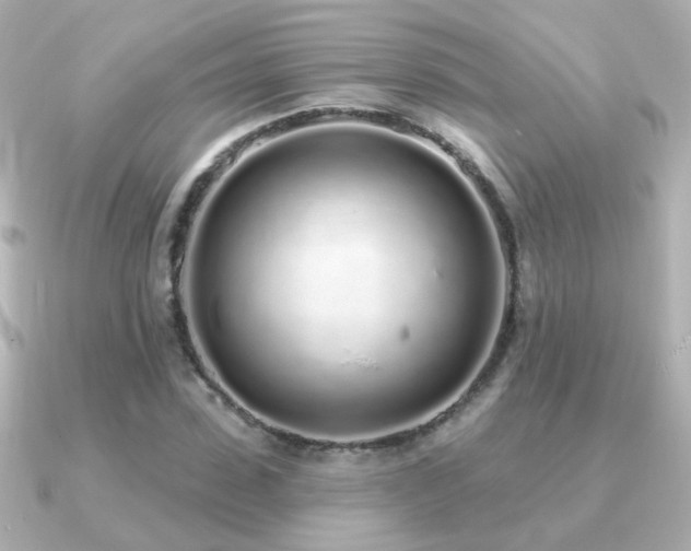 X0000091310923200708101501