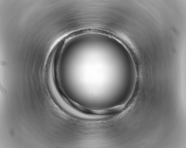 X0000091310924200708101501