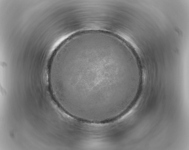 X0000091310925200708101501