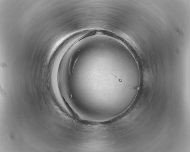 X0000091310926200708101501