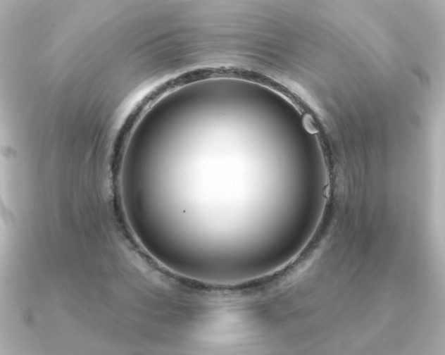 X0000091310927200708101501