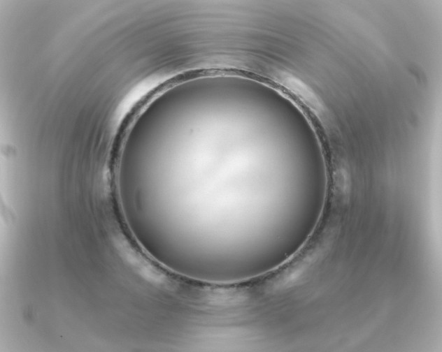 X0000091310928200708101501