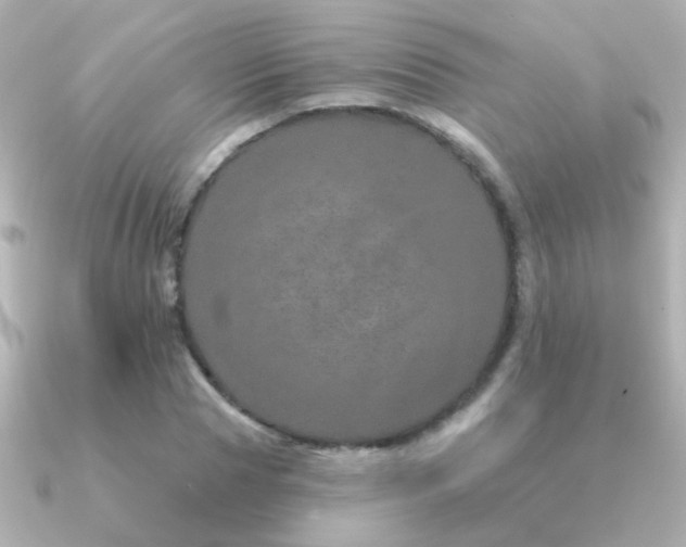 X0000091310929200708101501