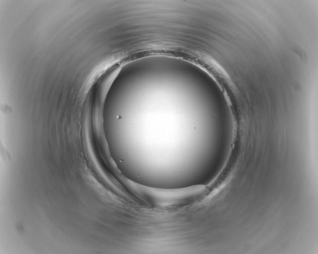 X0000091310930200708101501