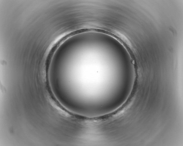 X0000091310931200708101501