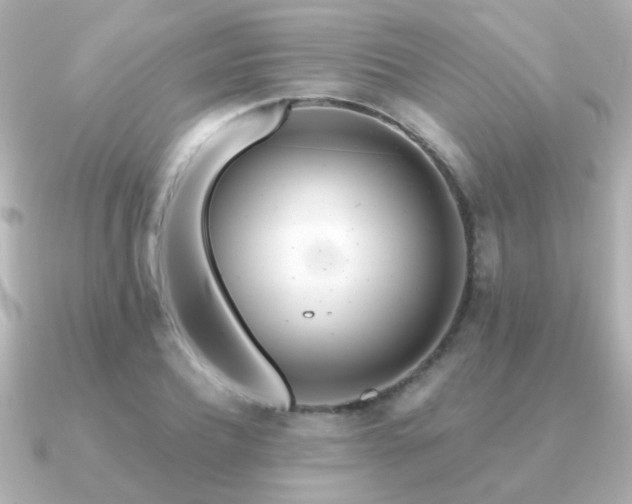 X0000091310932200708101501