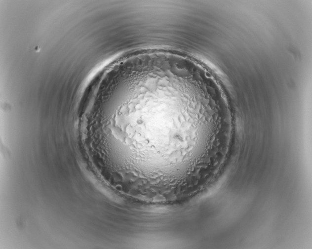 X0000091310933200708101501