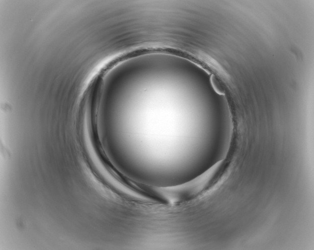 X0000091310934200708101501