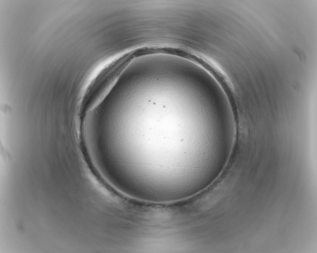 X0000091310935200708101501