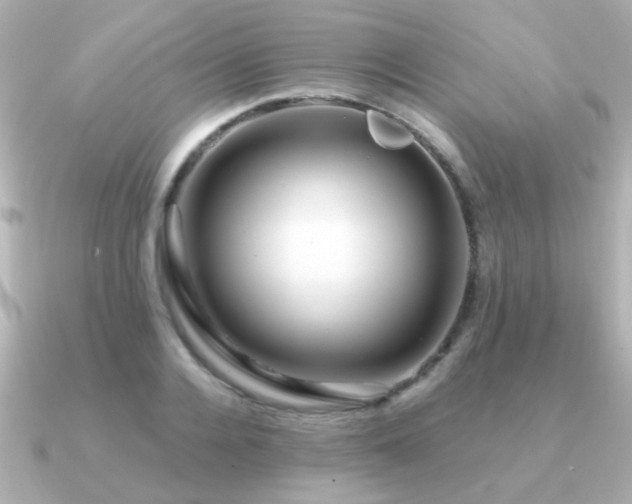 X0000091310936200708101501