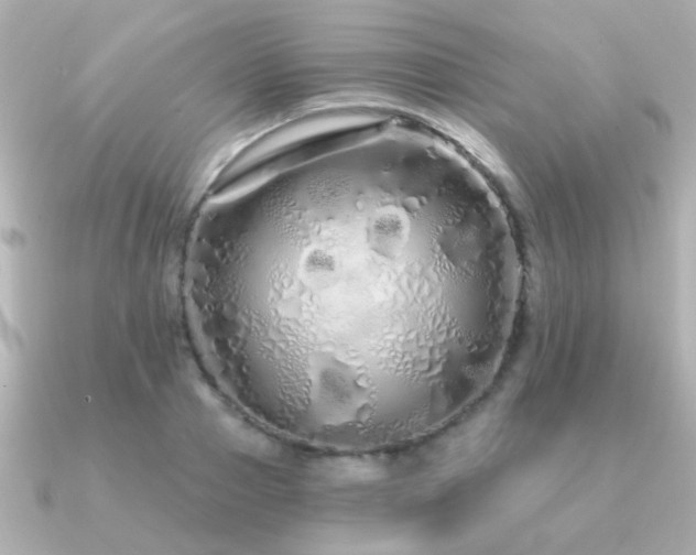 X0000091310937200708101501