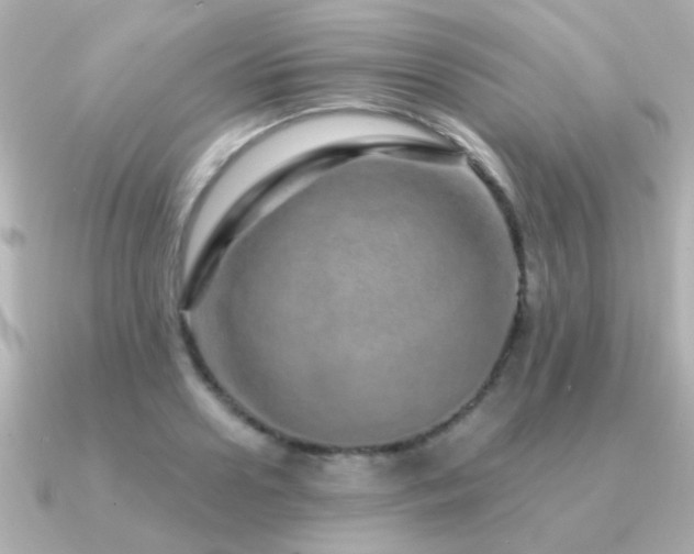 X0000091310938200708101501