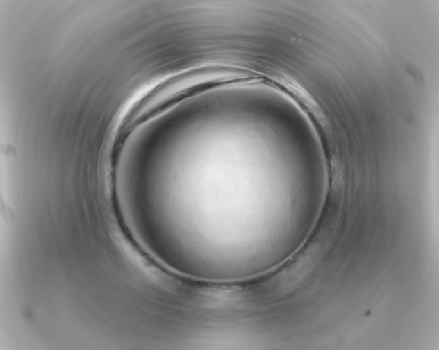 X0000091310939200708101501