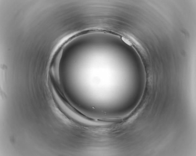 X0000091310940200708101501