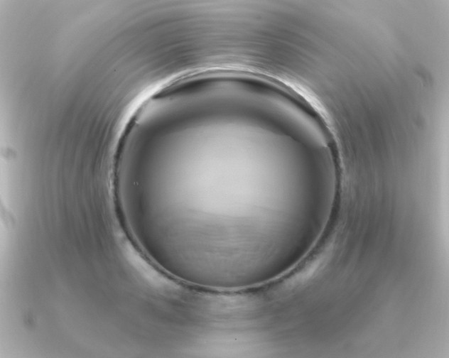 X0000091310941200708101501