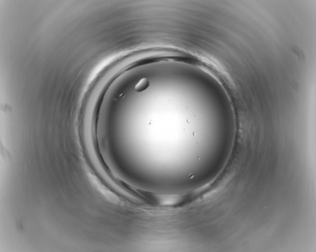 X0000091310942200708101501