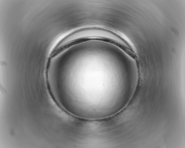 X0000091310943200708101501