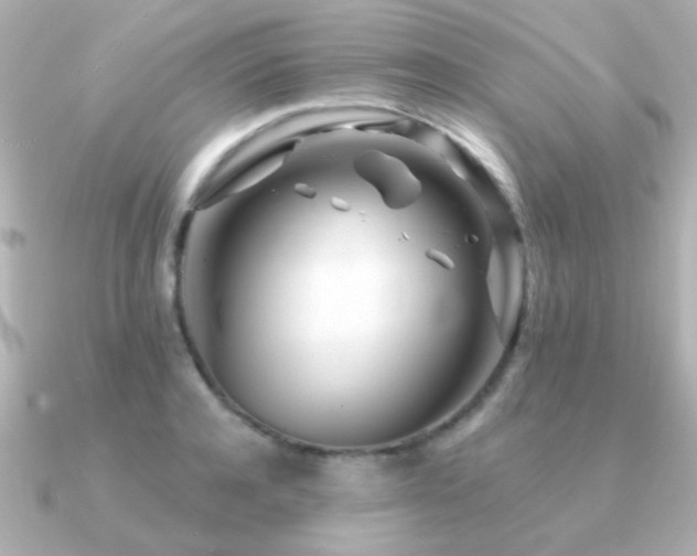 X0000091310944200708101501