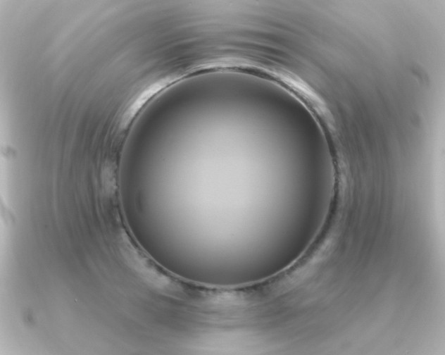 X0000091310945200708101501