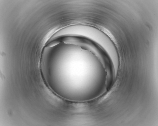 X0000091310946200708101501