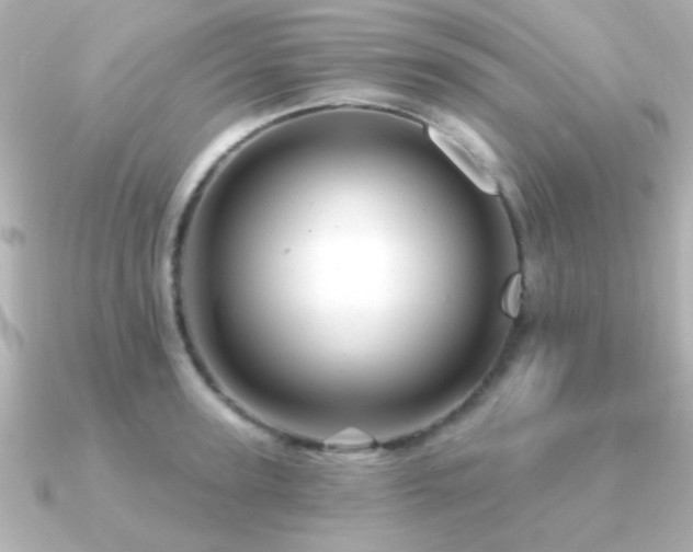 X0000091310947200708101501