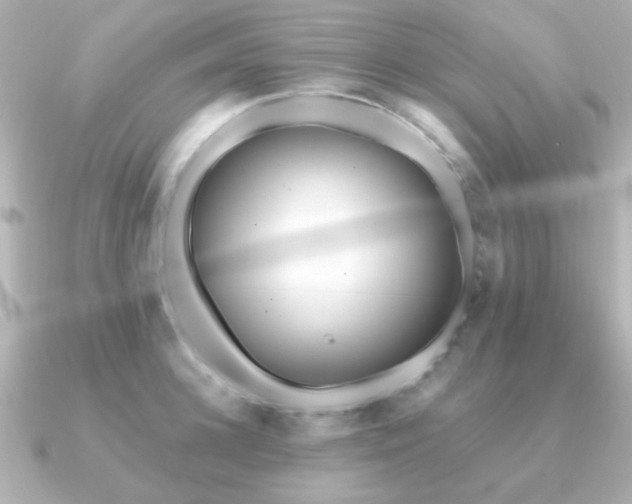 X0000091310948200708101501