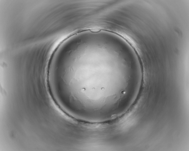 X0000091310949200708101501