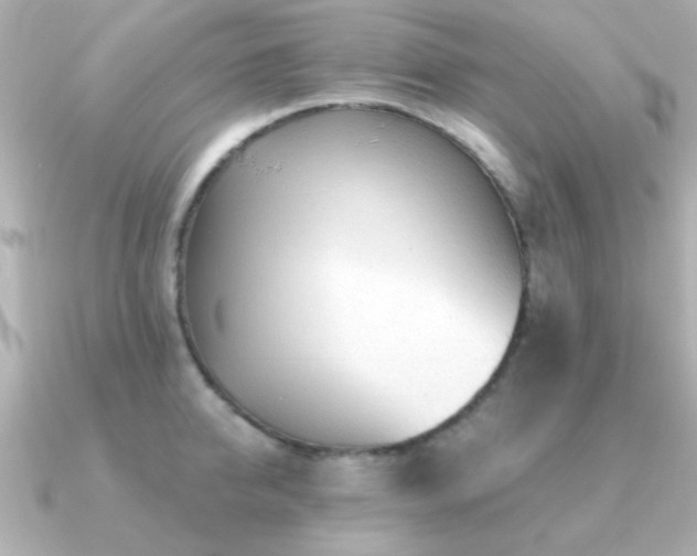 X0000091310950200708101501