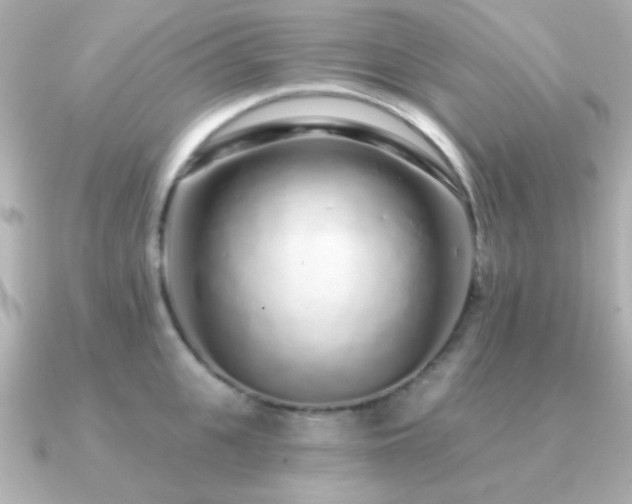 X0000091310951200708101501