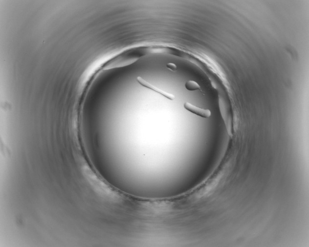 X0000091310952200708101501