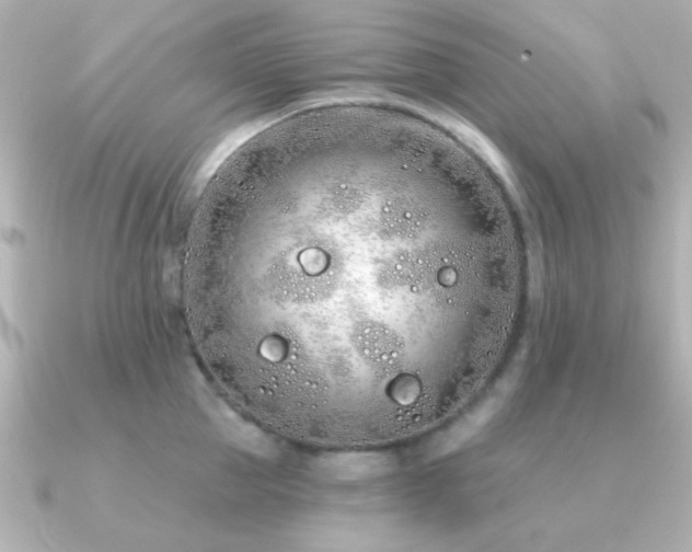 X0000091310953200708101501