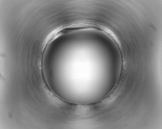 X0000091310954200708101501