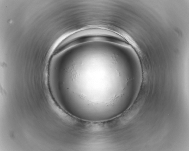 X0000091310955200708101501