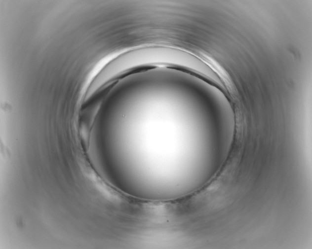 X0000091310956200708101501