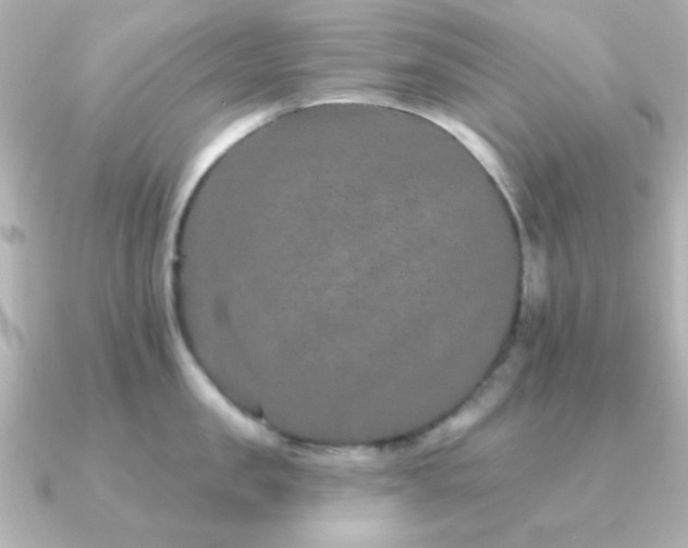 X0000091310957200708101501