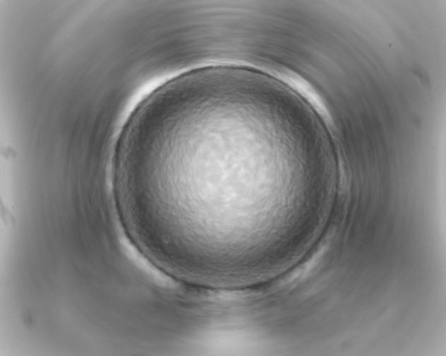 X0000091310958200708101501